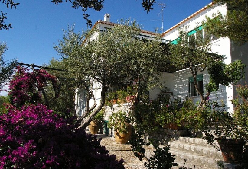 Il Rifugio B&b Capri