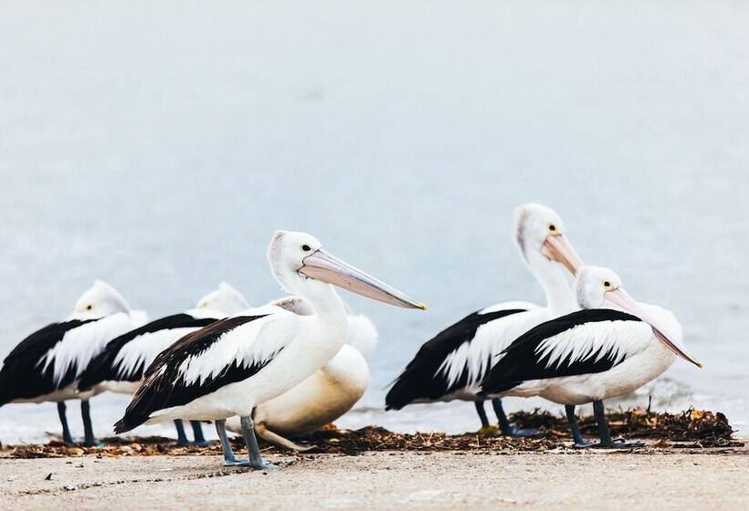 Jacobs Well Tourist Park