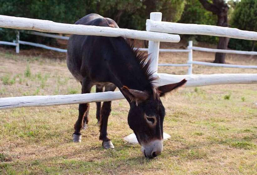 פנסיון Ca  La Somara