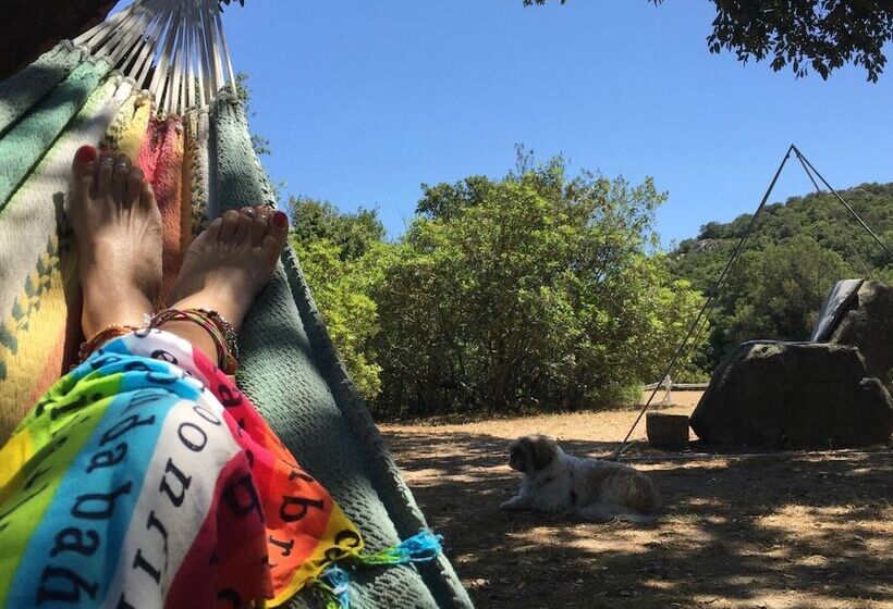 פנסיון Ca  La Somara