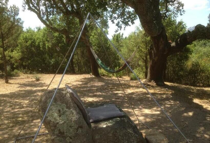 פנסיון Ca  La Somara