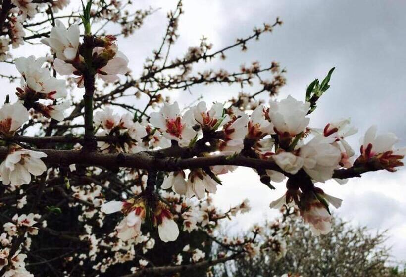 پانسیون Dimora Fraula Guest House