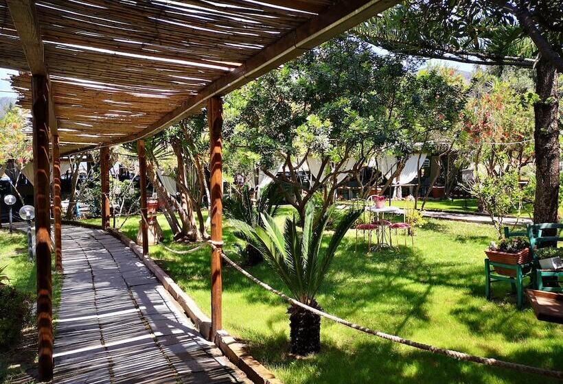 פנסיון S'abba Druche Spiagge