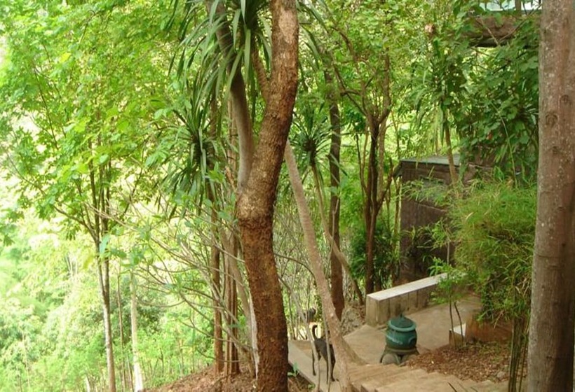 膳宿费 Sam's Jungle Guesthouse