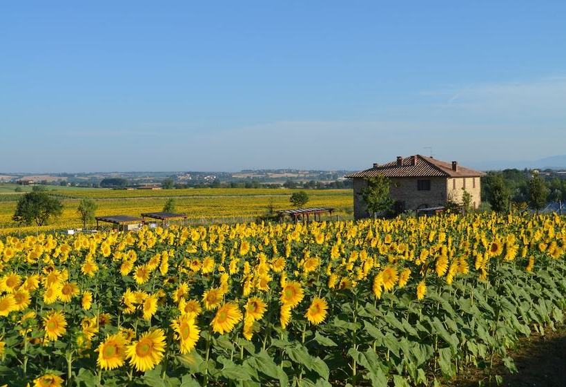 민박 Tuscan Style Ecofarm Molinaccio