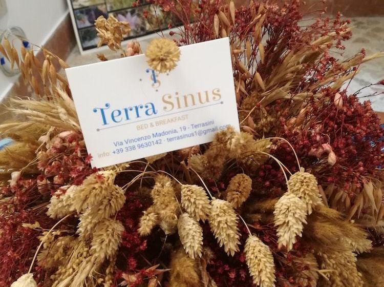 Terra Sinus B&b