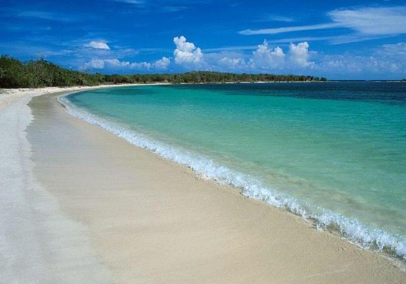 Agriturismo Agrifoglio