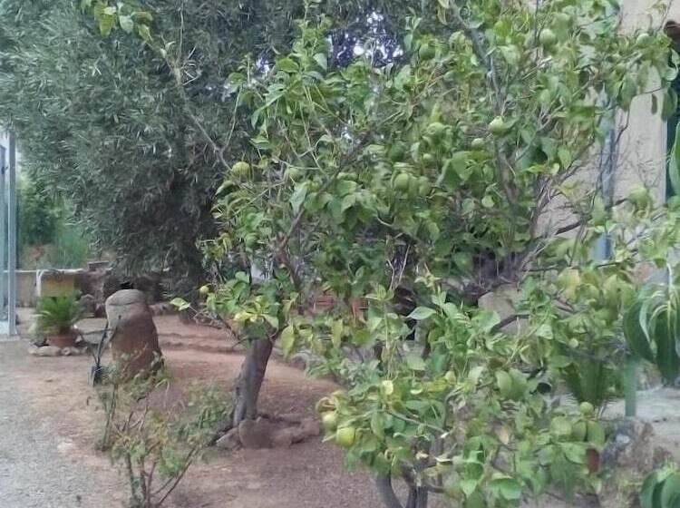B&b Il Vigneto