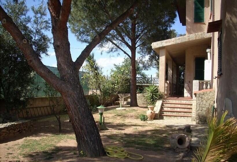 B&b Il Vigneto