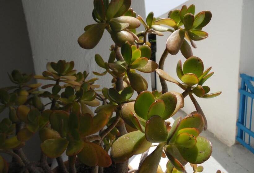 צימר Da Franco Relax & Pool