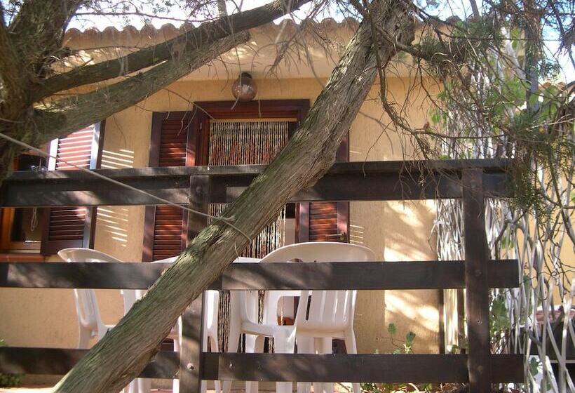 פונדק Villette Close Up Rena Majore