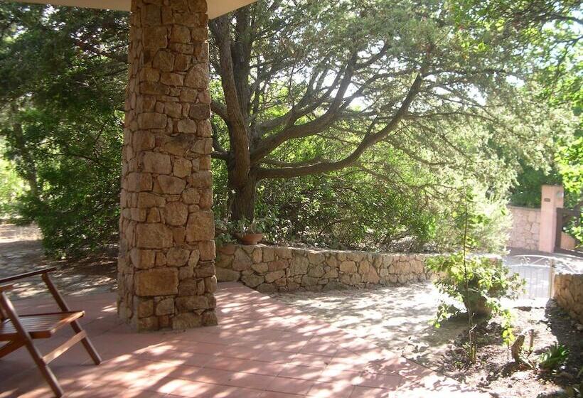 פונדק Villette Close Up Rena Majore