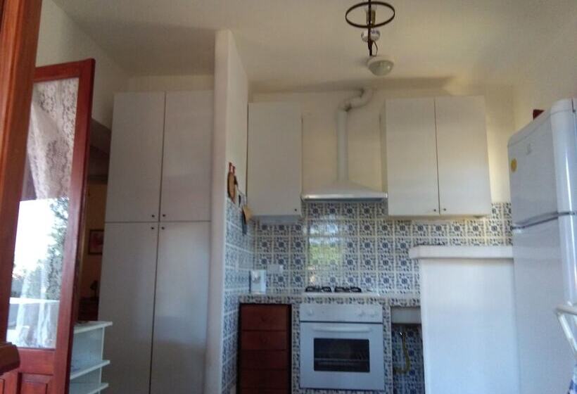 פונדק Villette Close Up Rena Majore