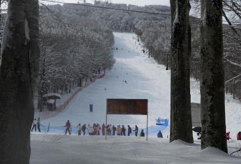 ホテル Albergo Generale Cantore