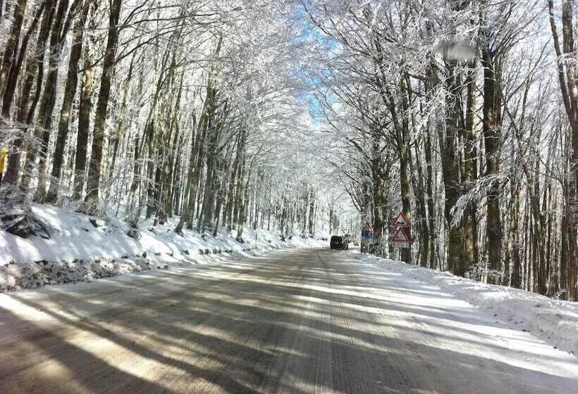 ホテル Albergo Generale Cantore