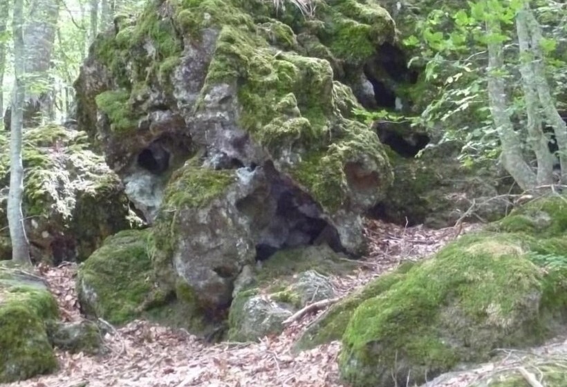 ホテル Albergo Generale Cantore