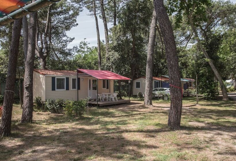 Отель Camping Al Bosco