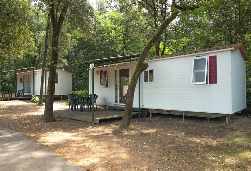 Отель Camping Al Bosco