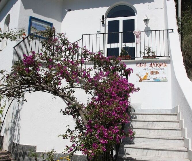 Отель Casa Antonio