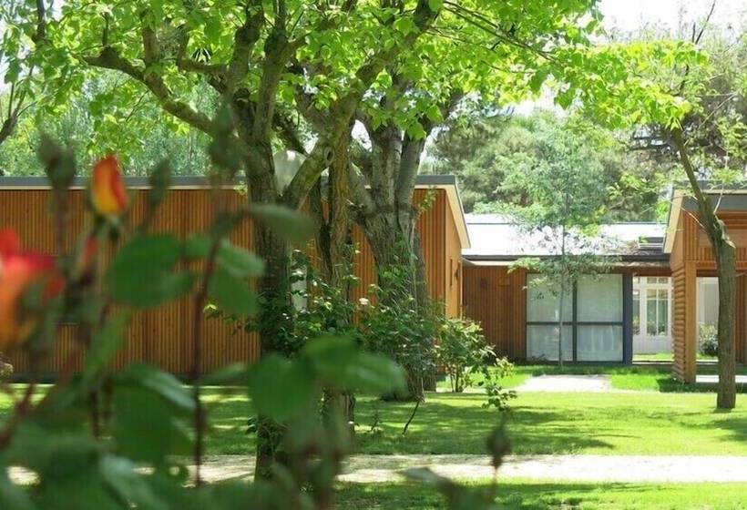 فندق Conero Azzurro