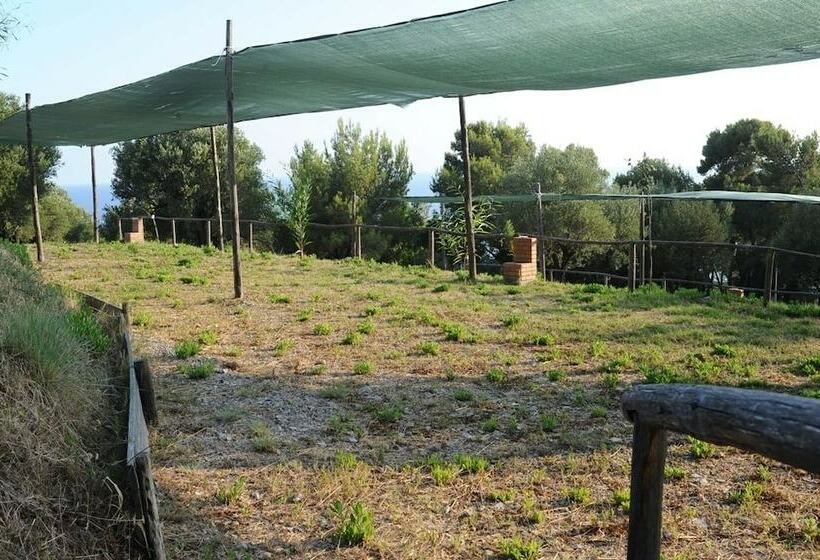 酒店 Porticello Village Campsite