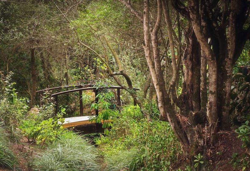 乡村酒店  Agriturismo Saltara