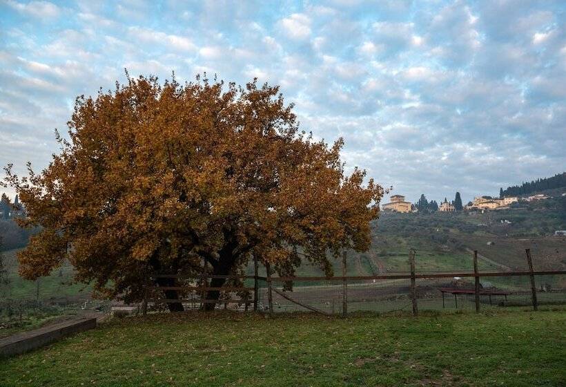 בית מלון כפרי Fattoria Di Maiano