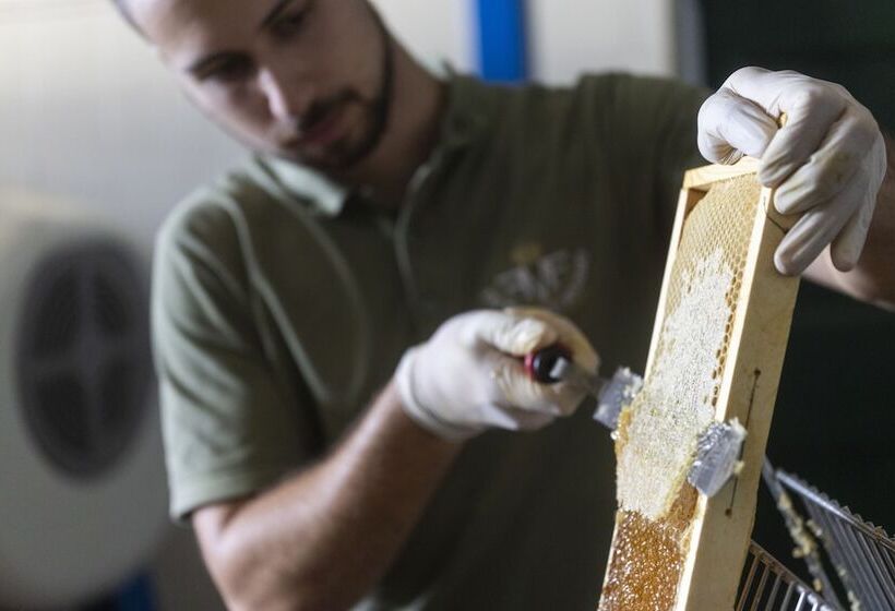 בית מלון כפרי Fattoria Di Maiano