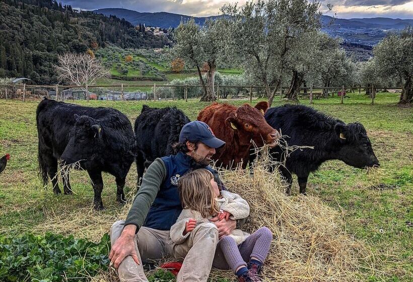 בית מלון כפרי Fattoria Di Maiano