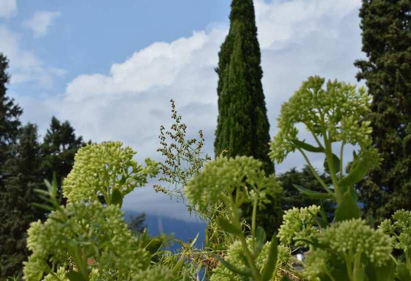 Отель Villa Freiheim