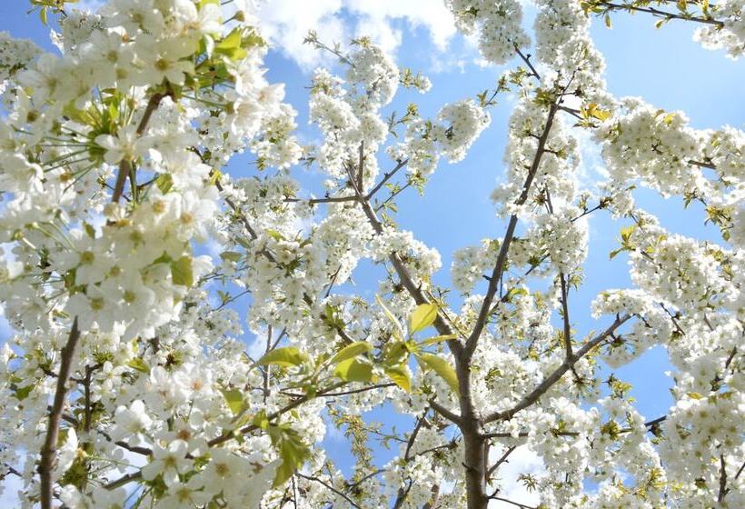 Отель Villa Freiheim