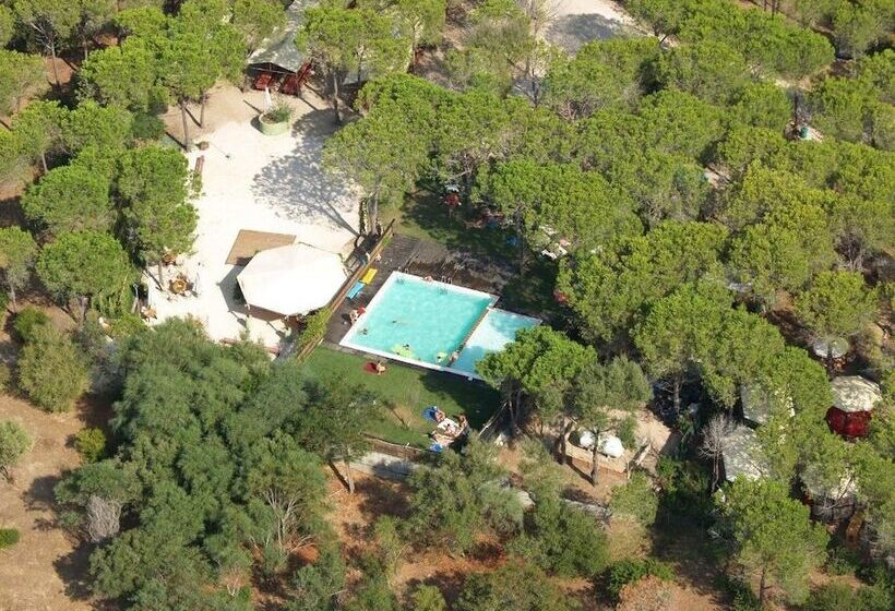 فندق Villaggio Camping Calapineta