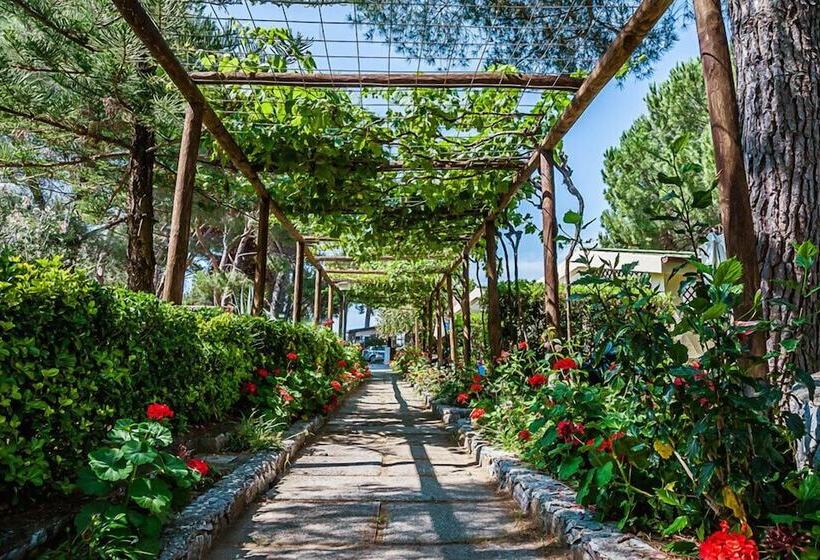 酒店 Villaggio Residence Torre Saracena   Campsite