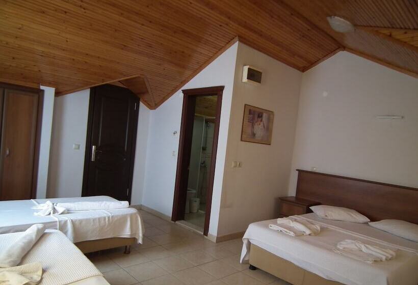 בית מלון כפרי Yasemin