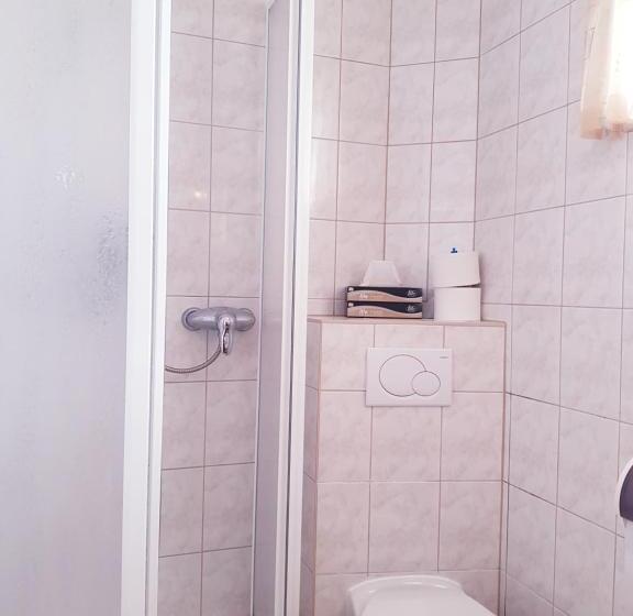 פנסיון Gasthof Janits