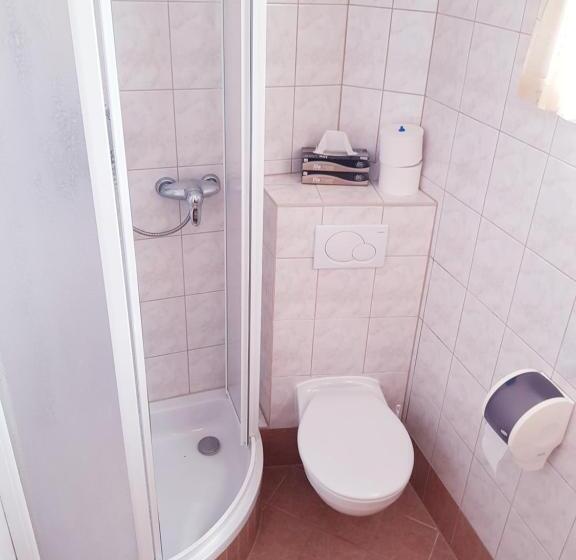 פנסיון Gasthof Janits