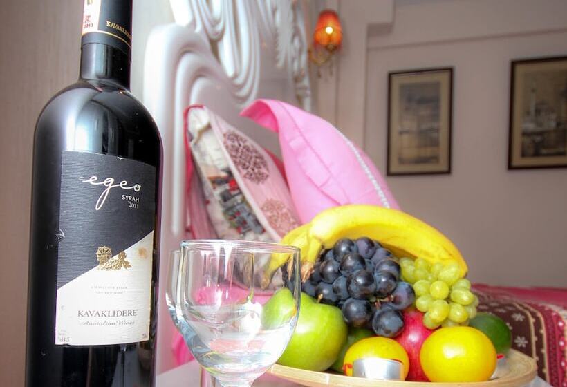 پانسیون Valeria Deluxe Hotel Sultanahmet