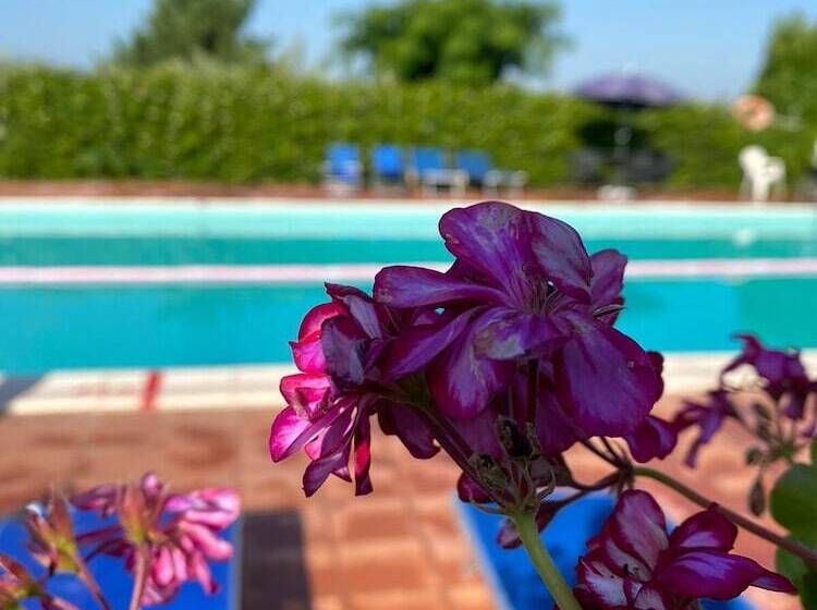 Пансион Residenza Cardinal Girolamo Di Moncelli