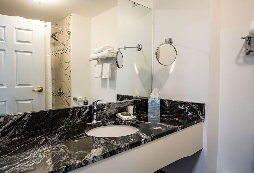 D. Hotel Suites & Spa