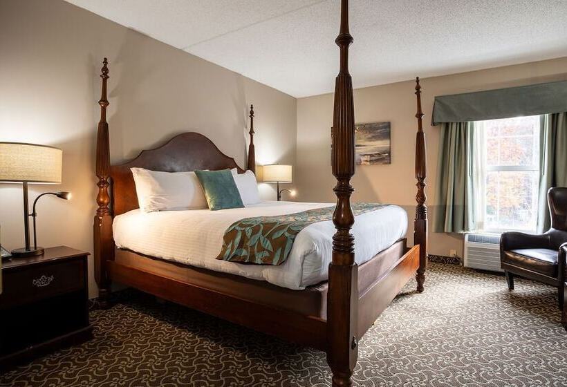 D. Hotel Suites & Spa