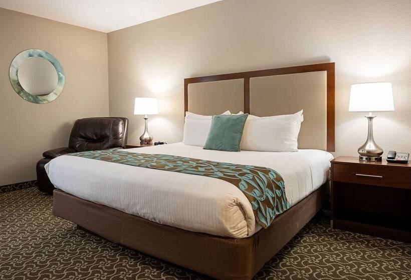 D. Hotel Suites & Spa