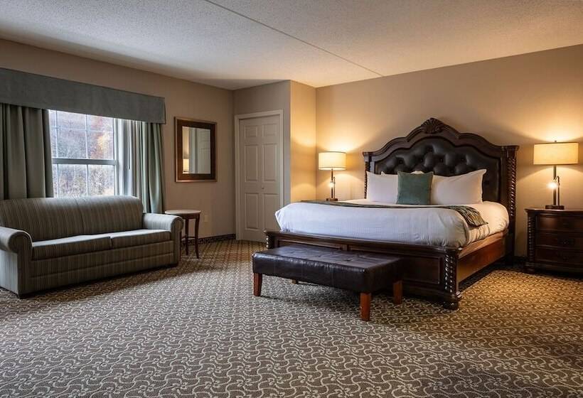 D. Hotel Suites & Spa