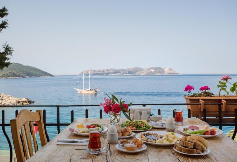 בית מלון כפרי Aqua Princess