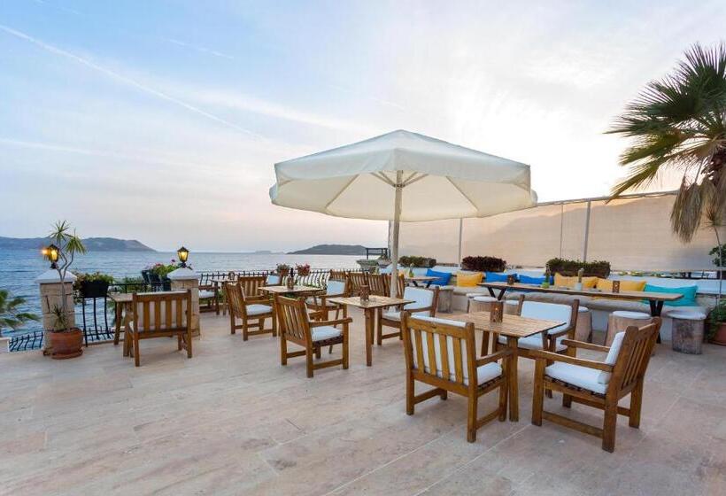 בית מלון כפרי Aqua Princess