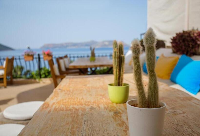 בית מלון כפרי Aqua Princess