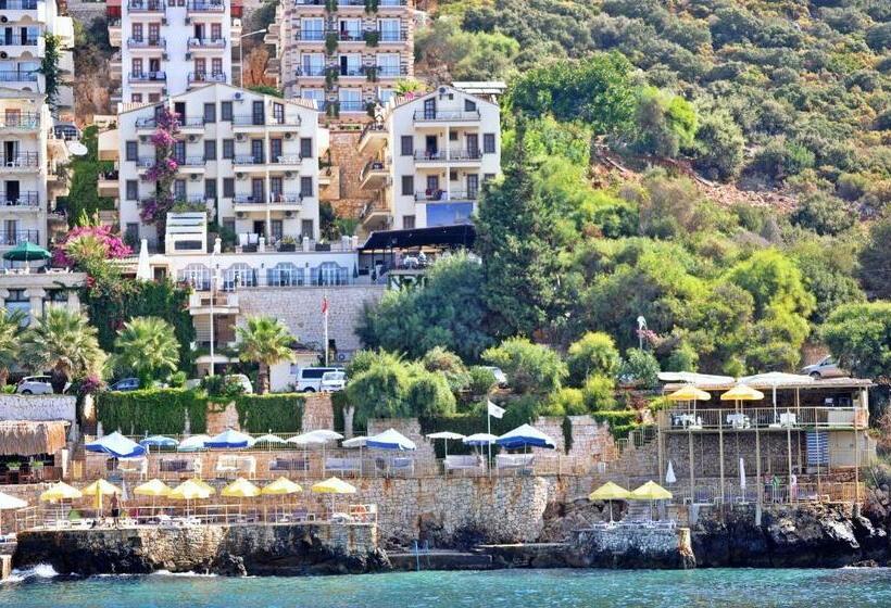 בית מלון כפרי Aqua Princess