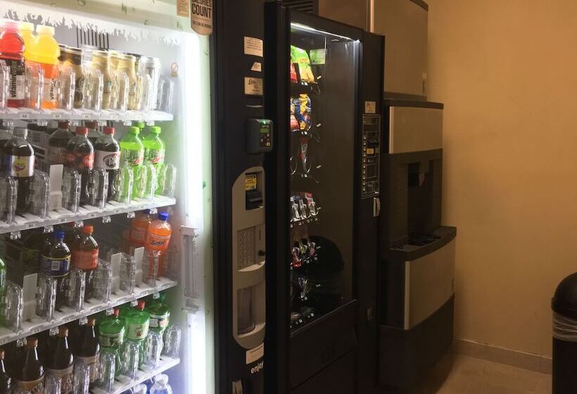 בית מלון כפרי Baymont By Wyndham Fort Myers Airport