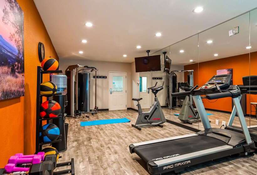 בית מלון כפרי Best Western Paradise