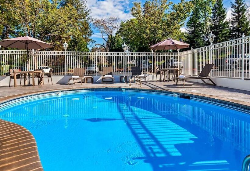 בית מלון כפרי Best Western Paradise