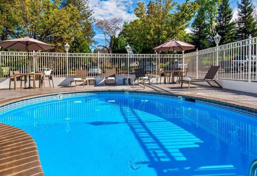 בית מלון כפרי Best Western Paradise